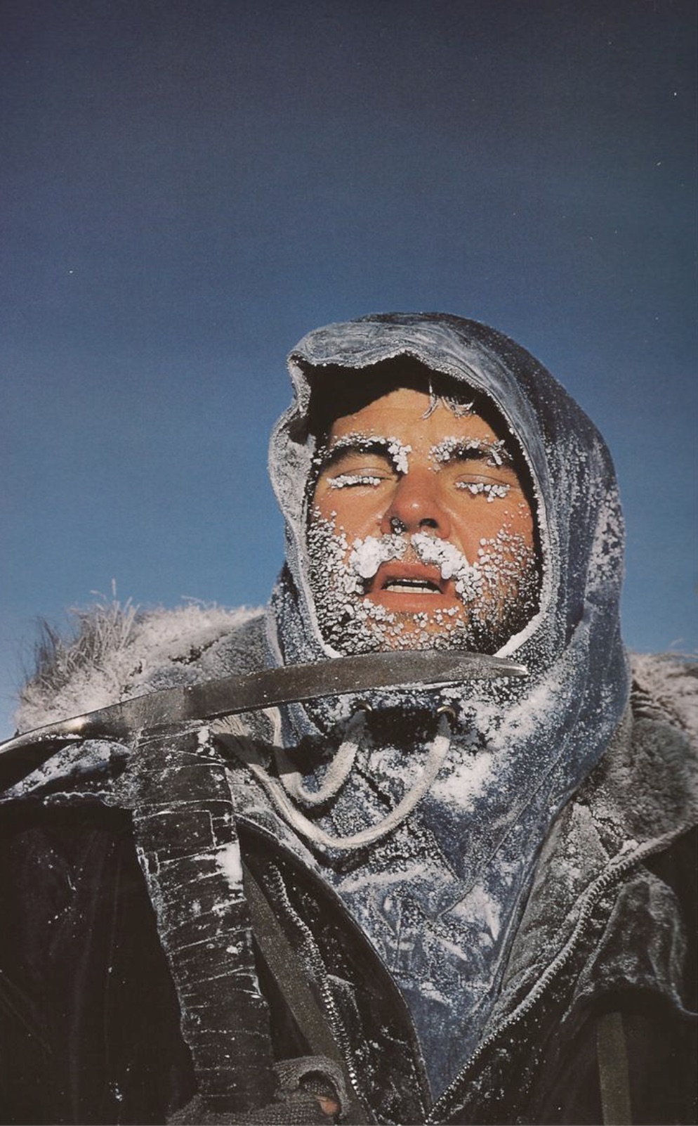 38 Incredibly Cool Pics of Ice Beards